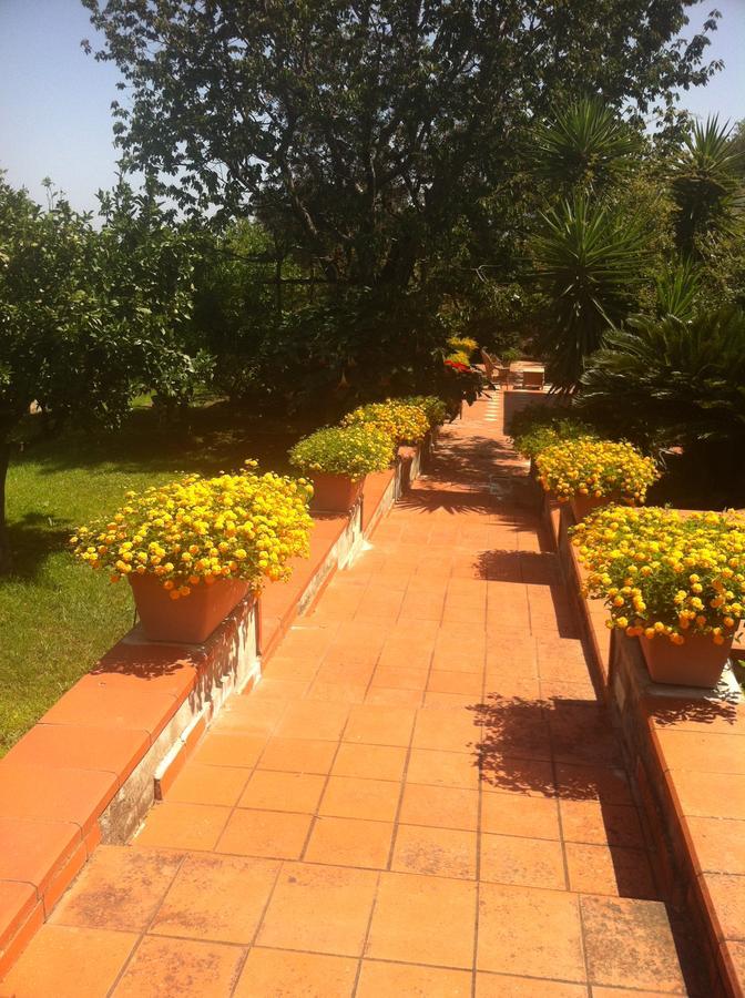 סורנטו B&B Villa Irma מראה חיצוני תמונה